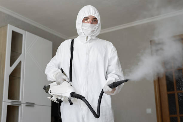 Best Attic Mold Removal  in Dublin, TX